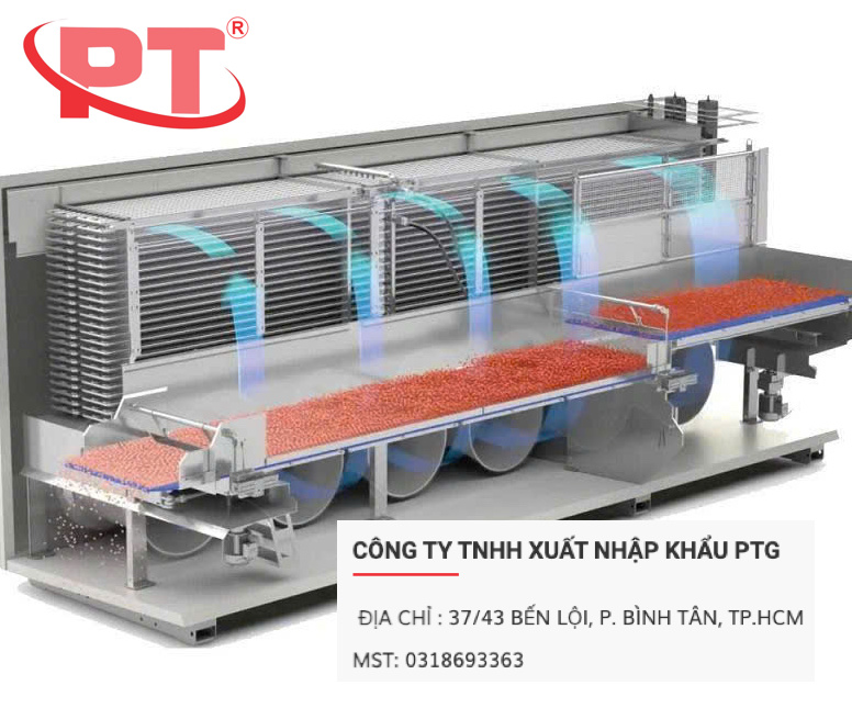 Công nghệ cấp đông tầng sôi trên băng chuyền IQF giúp rau củ đông nhanh rời từng hạt