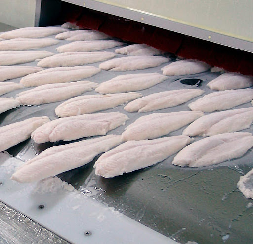 Sản phẩm cá tra fillet đông lạnh trên băng chuyền IQF dạng phẳng