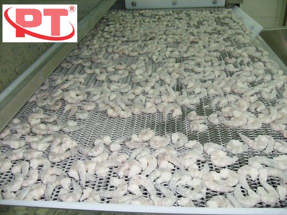 Cấu trúc lắp đặt hệ thống băng tải bên trong buồng IQF hiện đại của Phú Thọ Group