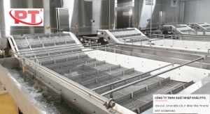 Băng Chuyền IQF Dạng Lưới