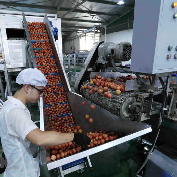   Nhà máy chế biến thực phẩm, rau quả