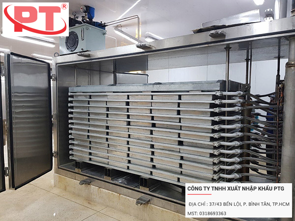 Sản phẩm tôm đông block vuông vức sau khi cấp đông bằng tủ đông tiếp xúc